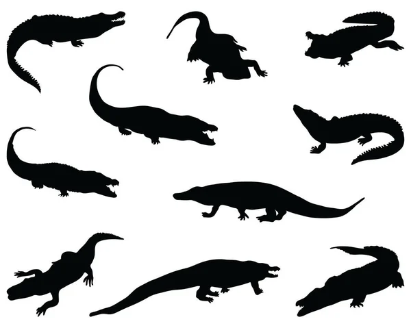 Black Silhouettes Crocodiles White Background Stock Illustration