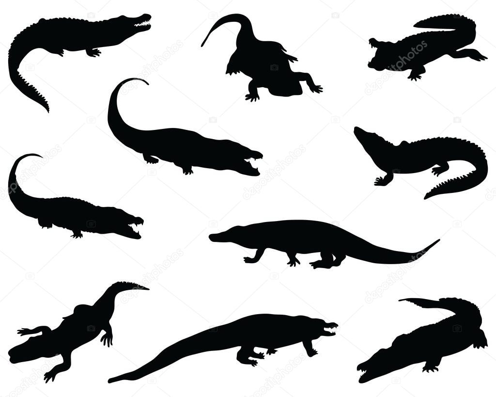 Black silhouettes of crocodiles on a white background