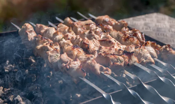 Barbecue with smoke in nature, tasty meat — Stock Photo, Image