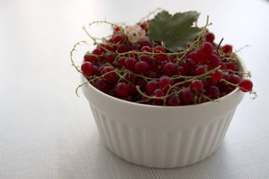 Beyaz bir fincan kırmızı kuş üzümü, beyaz bir arka plan üzerinde