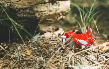 Çimenlerde kırmızı uçak, yapraklar üzerinde