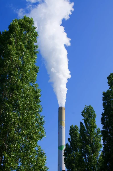 木々と澄んだ青空の間の工業用煙突 — ストック写真