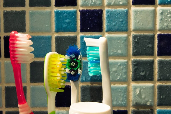 Enkele kleurrijke familie tandenborstels Rechtenvrije Stockfoto's