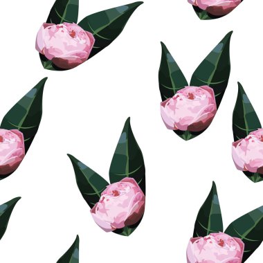 Gül, suluboya ile sorunsuz çiçek desenli. Vektör çizim.