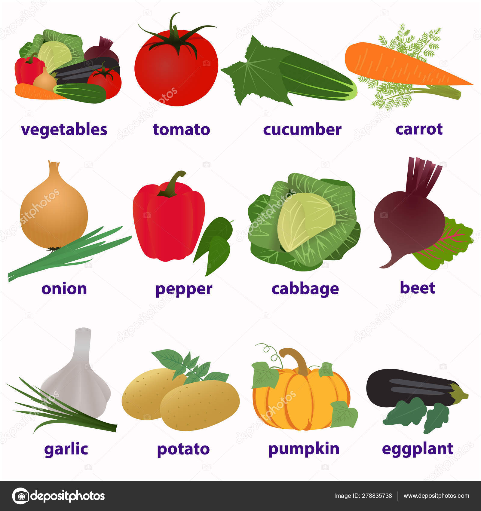Vegetables. Englishlanguage cards Stock Illustration by ©Nicxx 278835738