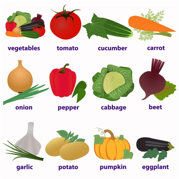 Warzywa. Karty w języku angielskim — Zdjęcie stockowe