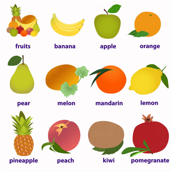 Fruit Cards for learning English