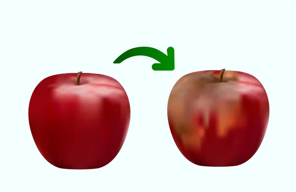 Pomme rouge pourrie, pomme rouge fraîche, gros plan dessin — Photo