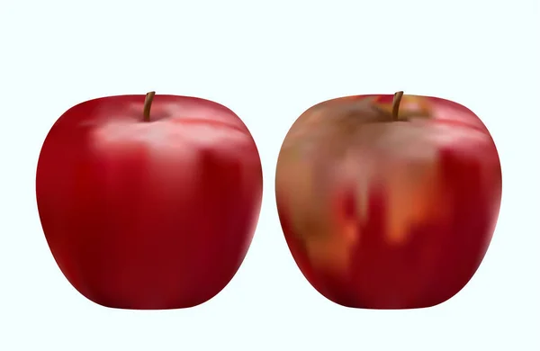Guter und verdorbener roter Apfel, Vektorabbildung — Stockfoto