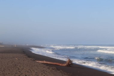 Khalaktyrsky Plajı Kara Kum, Pasifik Okyanusu, Rusya