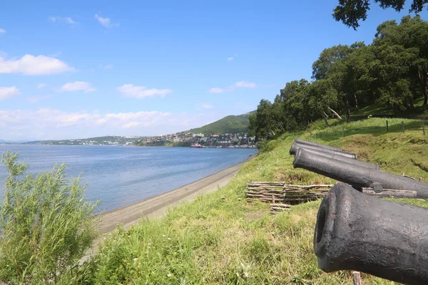 Nikolskaya tepesinden liman manzarası, Kamçatka