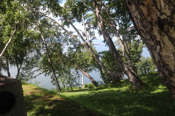 Vista Del Puerto Desde Colina Nikolskaya Kamchatka — Foto de Stock