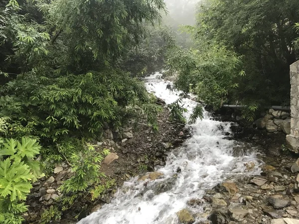 Baharda Mutnowski 'ye giderken dur - Kamçatka