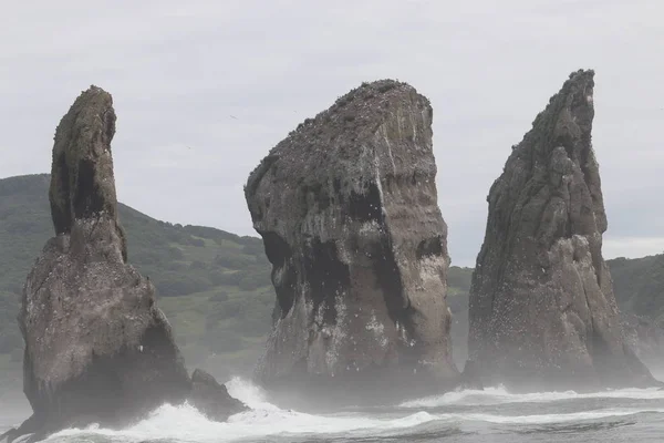 Três Irmãos Rochas Baía Avacha — Fotografia de Stock