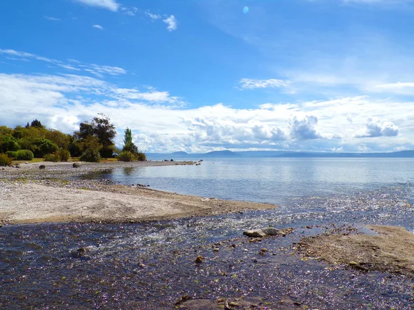 Wybrzeze Jeziora Taupo Polnocnej Wyspie Nowej Zelandii — Stok Foto