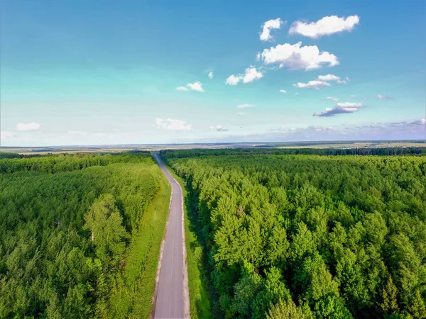 Ormanda rahat bir yol mavi gökyüzü ve bulutlara karşı vuruldu.