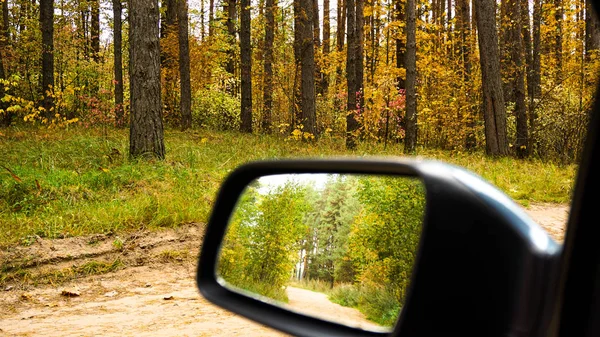 Bir arabanın dikiz aynasında sonbahar orman ve orman yolu fotoğrafı