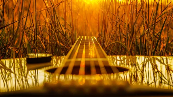 Sarı bir gitar batan güneşe karşı uzun otların arasında uzanıyor..