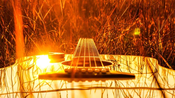Una Guitarra Amarilla Yace Hierba Alta Contra Sol Poniente —  Fotos de Stock