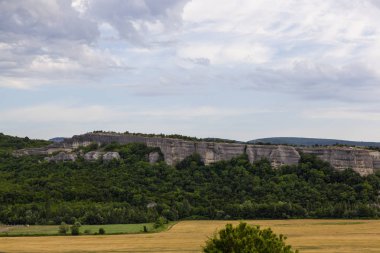 Olgun buğday yaz altın kulakları Arka Plan