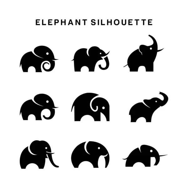 코끼리 로고 세트 벡터 기호 실루엣 — 스톡 사진