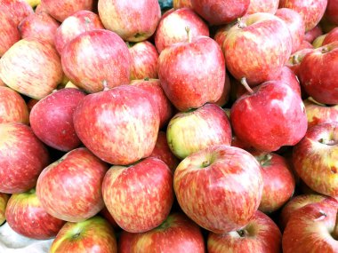 Bu taze meyve görüntüdür