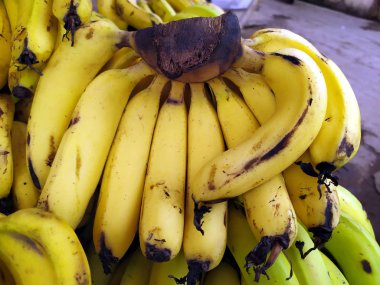 Bu taze meyve görüntüdür