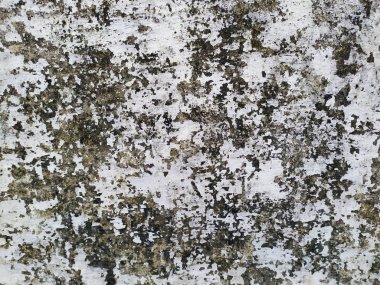 Üzerinde çizikler ve çatlaklar olan metal bir duvar.