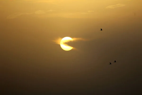 Schöne Gelbe Sonne Abends Untergegangen Und Einige Vögel Auf Dem — Stockfoto