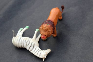 Siyah arka planda izole edilmiş vahşi hayvanları oynayan bir çocuk.