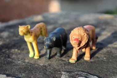 Vahşi hayvancılık oynayan bir çocuk Yolda duruyor