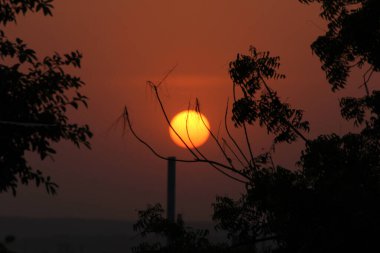 Akşam günbatımında uçan bir uçurtma ve bir ağaç
