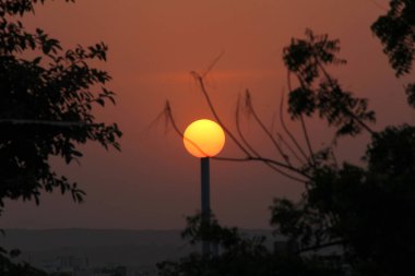 Akşam günbatımında uçan bir uçurtma ve bir ağaç