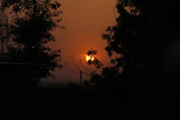 Sonnenuntergang Abend Ein Drachenflug Und Ein Baum — Stockfoto