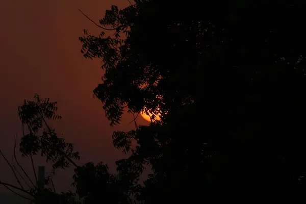 Sonnenuntergang Abend Ein Drachenflug Und Ein Baum — Stockfoto