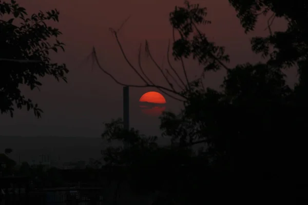 Sonnenuntergang Abend Ein Drachenflug Und Ein Baum — Stockfoto