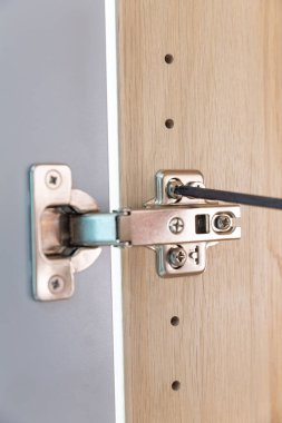 Parlatılmış Paslanmaz kapı iç dekorasyon için dolap kapısına asılmış.