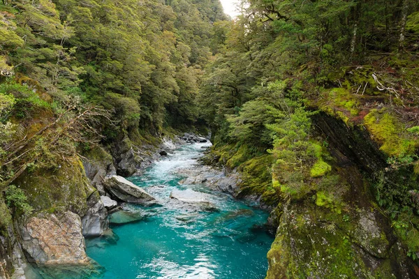 ニュージーランドの魅力的な国立公園の山の青いプールの自然景観写真 — ストック写真