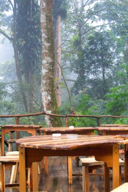 sisli bir ormanın ortasında boş masalar
