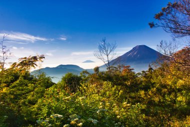 uzak dağlar ve güzel gökyüzü önünde ağaçlar hattı