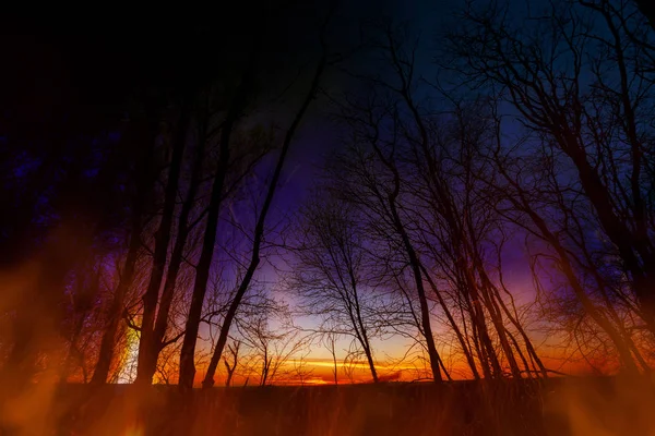 Heißes Feuer Das Den Wald Dunklem Leisen Ton Verbrennt Klimaschutzkonzept — Stockfoto