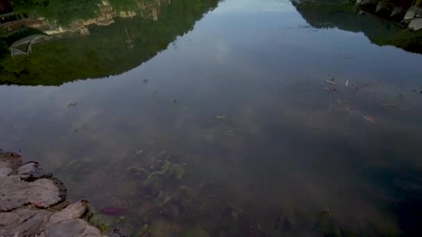 Velhas Casas Madeira Pontes Pagodes Refletidos Rio Tuojiang Uma Visão — Vídeo de Stock