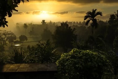 Orman manzaralı gün batımı. Merkez Java, Endonezya 'da Borobudur