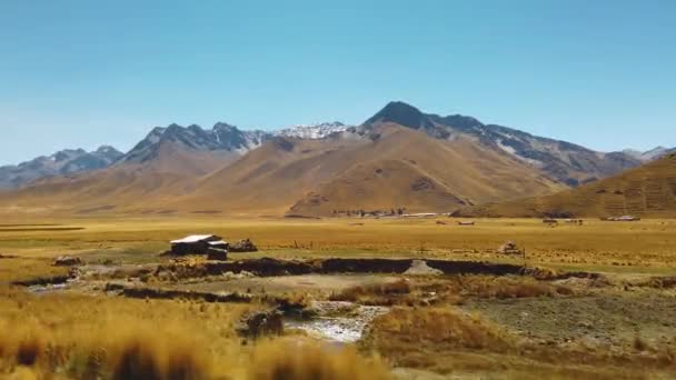 Típico Paisaje Inhóspito Los Andes Peruanos Gran Altura Región Del — Vídeos de Stock