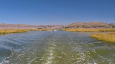Titicaca Gölü 'ndeki Doğal Rezerv' de bir tekne tarafından yapılan su izi. Bitkiler ve bitkilerle korunan bir bölge. Puno bölgesi, Peru.