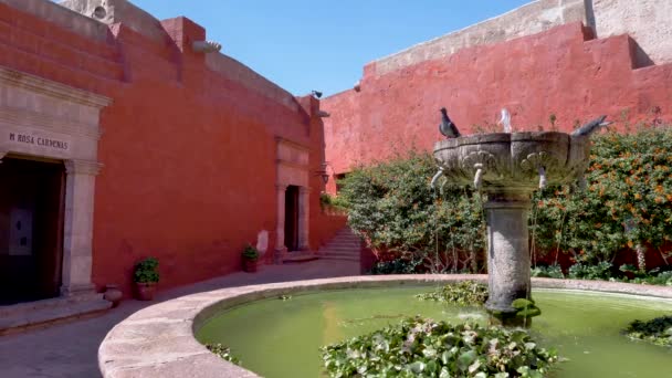 Palomas Bebiendo Agua Una Fuente Rodeada Paredes Muros Rojos Monasterio — Vídeo de stock