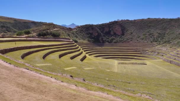 Terrazas Agrícolas Incas Valle Sagrado Moray Cusco Valle Sagrado Perú — Vídeo de stock