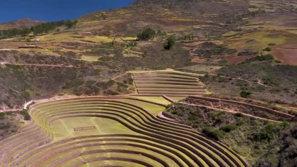 上からペルーのMorayのインカテラスまでの眺め 彼らは農業実験に使われた — ストック動画