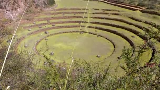 Forntida Inka Jordbruksexperiment Station Unik Gammal Rund Terrasser Moray Cusco — Stockvideo