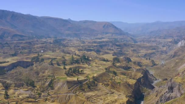 Panorama Aéreo Del Cañón Del Colca Sus Terrazas Inca Valle — Vídeo de stock
